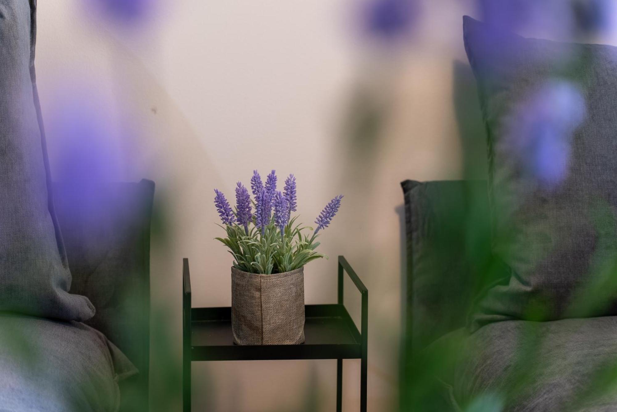 Stay Blossom Καβάλα Εξωτερικό φωτογραφία